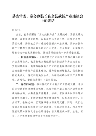 县委常委、常务副县长在全县战新产业座谈会上的讲话