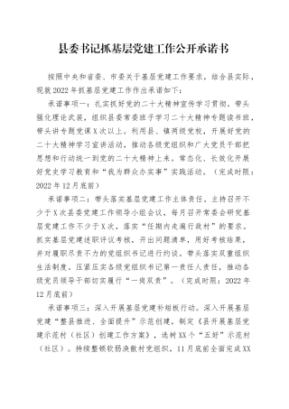 县委书记抓基层党建工作公开承诺书