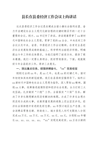 县长在县委经济工作会议上的讲话