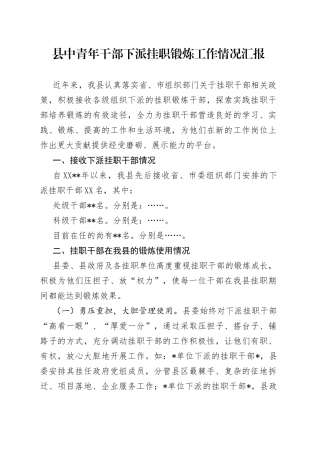 县中青年干部下派挂职锻炼工作情况汇报