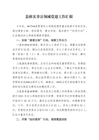 县抓实非公领域党建工作汇报