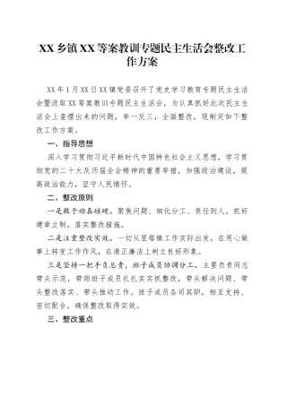 乡镇XX等案教训专题民主生活会整改工作方案