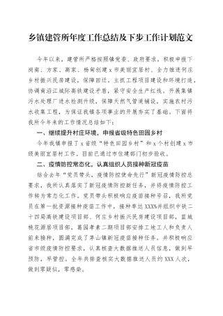 乡镇建管所年度工作总结及下步工作计划范文