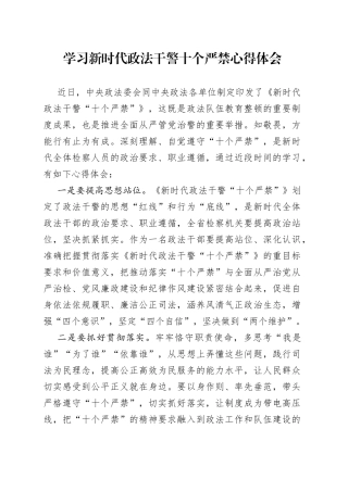 学习新时代政法干警十个严禁心得体会