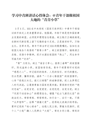 学习中青班讲话心得体会：@青年干部做祖国大地的“青青小草”