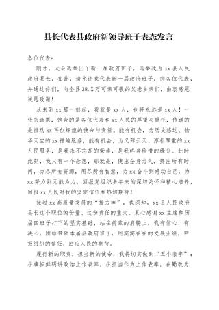 县长代表县政府新领导班子表态发言