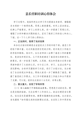县长任职培训心得体会