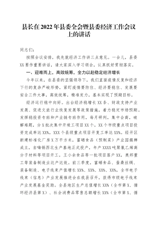县长在2022年县委全会暨县委经济工作会议上的讲话