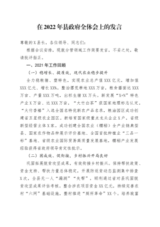 在2022年县政府全体会上的发言