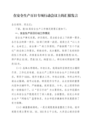 在安全生产百日专项行动会议上的汇报发言
