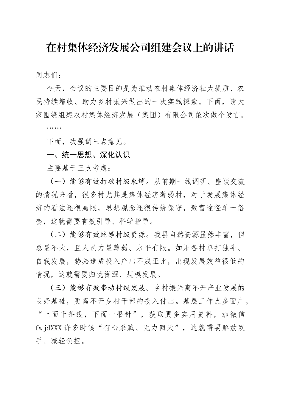 在村集体经济发展公司组建会议上的讲话_第1页