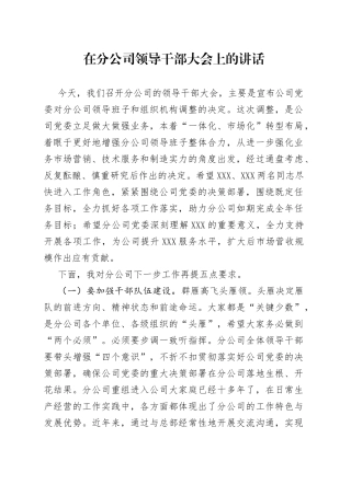 在分公司领导干部大会上的讲话