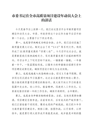 在高质量项目建设年动员大会上的讲话