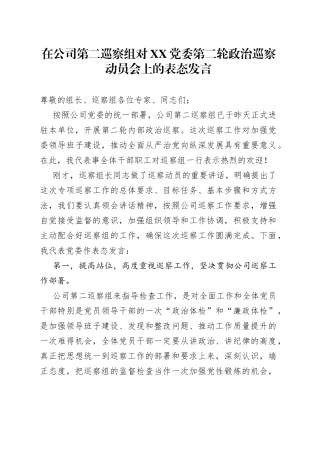 在公司第二巡察组对XX党委第二轮政治巡察动员会上的表态发言