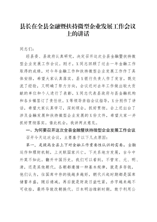 在金融暨扶持微型企业发展工作会议上的讲话