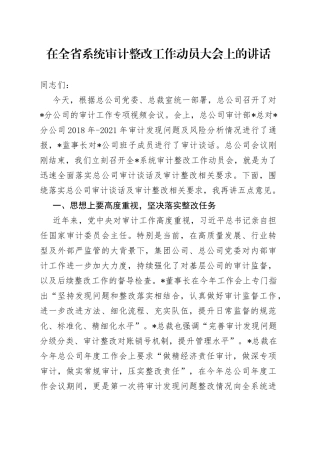 在全省系统审计整改工作动员大会上的讲话