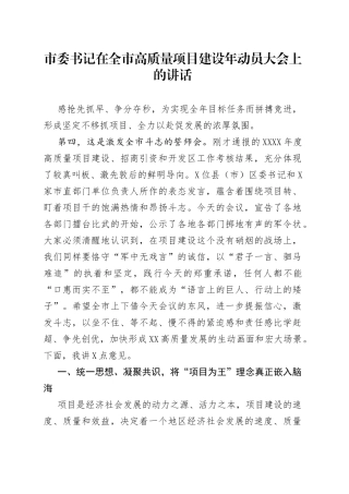在全市高质量项目建设年动员大会上的讲话
