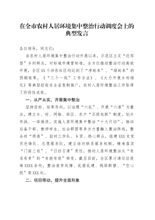 在全市农村人居环境集中整治行动调度会上的典型发言