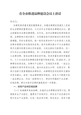 在全市推进品牌建设会议上讲话