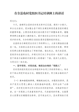 在全县农村党组织书记培训班上的讲话