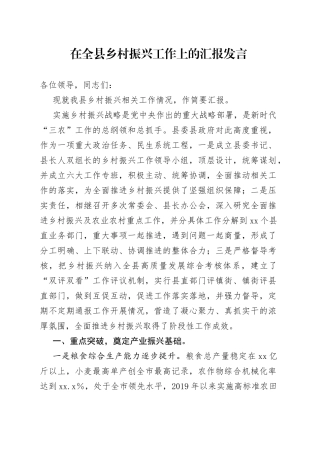 在全县乡村振兴工作上的汇报发言