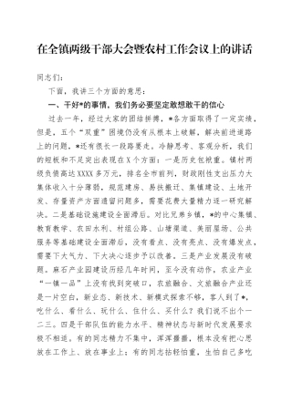在全镇两级干部大会暨农村工作会议上的讲话