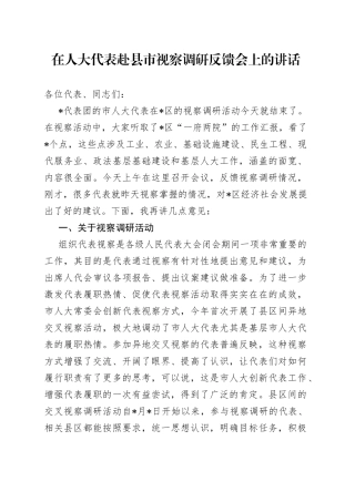 在人大代表赴县市视察调研反馈会上的讲话