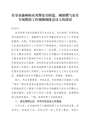 在森林防灭火暨安全防范、城镇燃气安全专项整治工作视频调度会议上的讲话