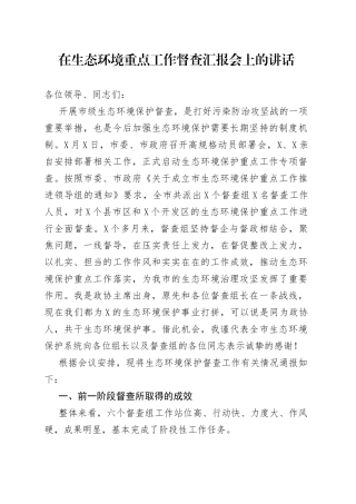 在生态环境重点工作督查汇报会上的讲话（1）