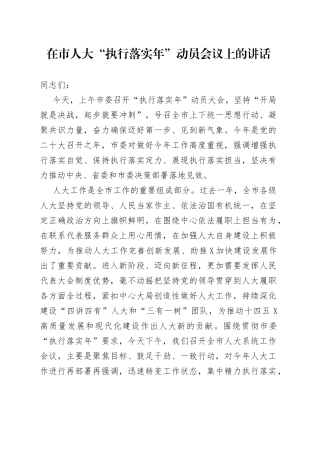 在市人大“执行落实年”动员会议上的讲话