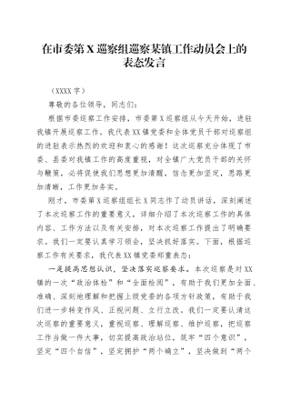 在市委第X巡察组巡察某镇工作动员会上的表态发言