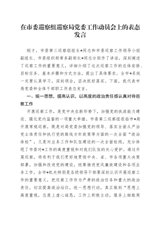 在市委巡察组巡察局党委工作动员会上的表态发言