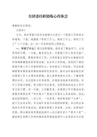 在团委挂职锻炼心得体会