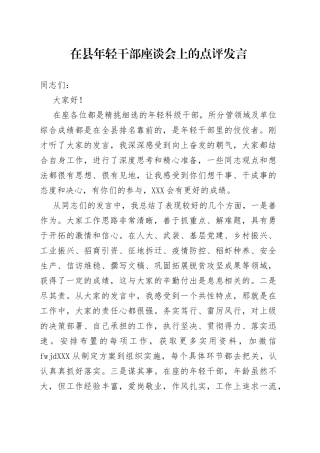 在县年轻干部座谈会上的点评发言（1）