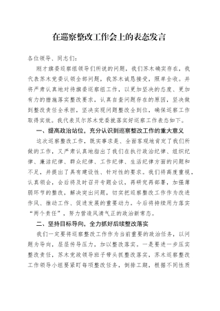 在巡察整改工作会上的表态发言