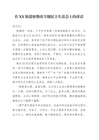 在镇巡察整改专题民主生活会上的讲话