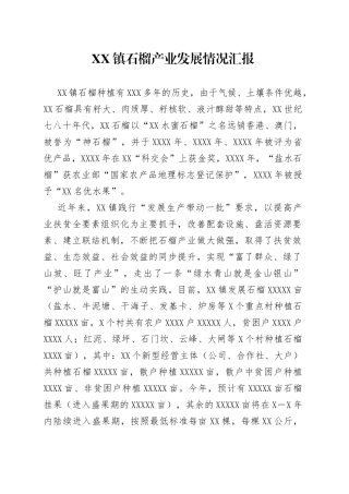 镇石榴产业发展情况汇报