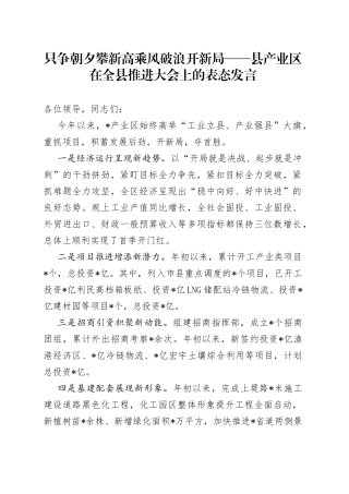 只争朝夕攀新高乘风破浪开新局县产业区在全县推进大会上的表态发言