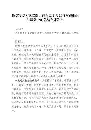 （2篇）县委常委（党支部）在学习教育专题组织生活会上的总结点评发言