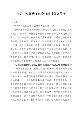（2篇）学习中央民族工作会议精神体会范文