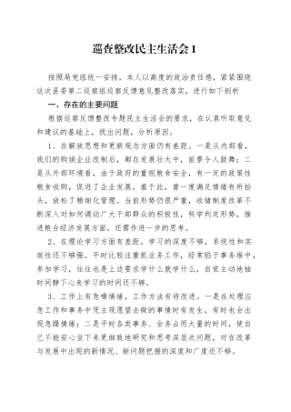 （3篇）巡查整改民主生活会