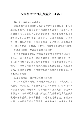 （4篇）巡察整改中的亮点范文