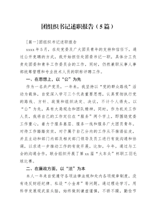 （5篇）团组织书记述职报告