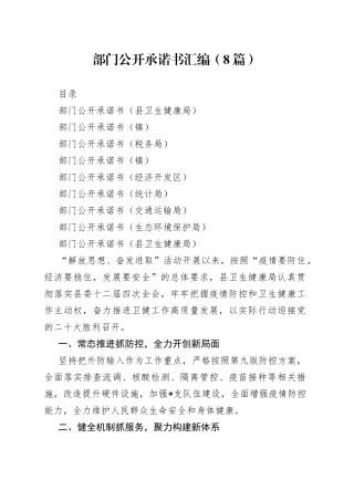 （8篇）部门公开承诺书汇编