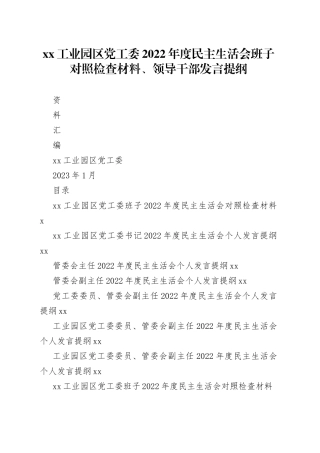 班子工业园区党工委2022年度民主生活会发言提纲（班子1篇+个人6篇）