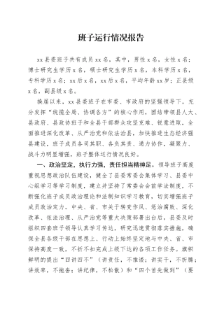 班子运行情况报告