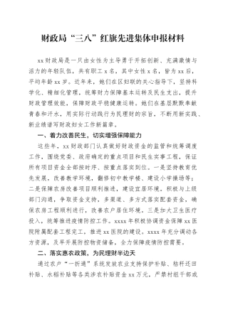 财政局“三八”红旗先进集体申报材料
