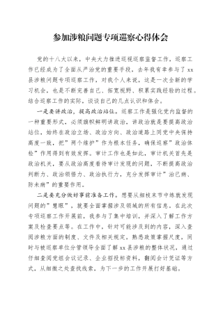 参加涉粮问题专项巡察心得体会研讨发言