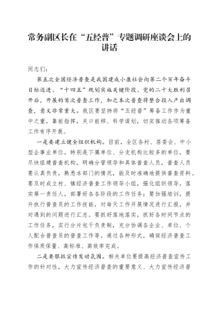 常务副区长在“五经普”专题调研座谈会上的讲话
