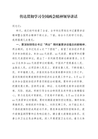传达贯彻学习全国两会精神领导讲话
